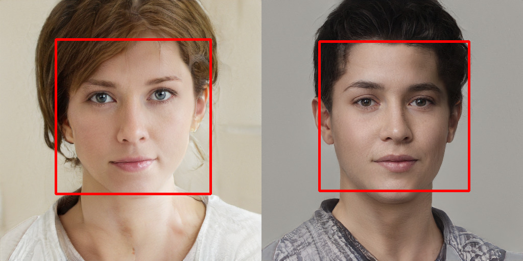 face-detection2